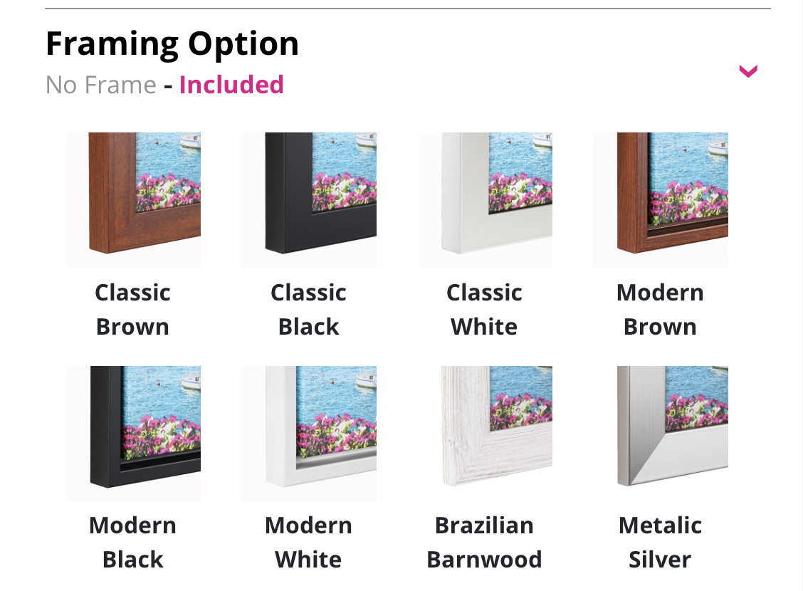 Frame Choice