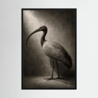 The Sacred Ibis in Museum Light (After the Ancients)