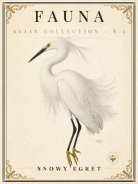 FAUNA No. 2 - Snowy Egret Vintage Canvas