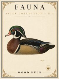 FAUNA No. 3 - Wood Duck Vintage Canvas