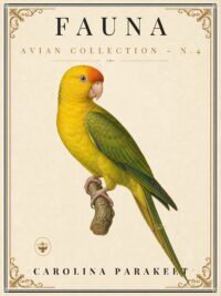 FAUNA No. 4 - Carolina Parakeet Vintage Canvas
