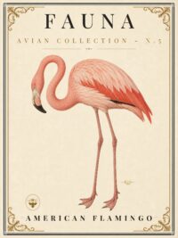 FAUNA No. 5 - American Flamingo Vintage Canvas