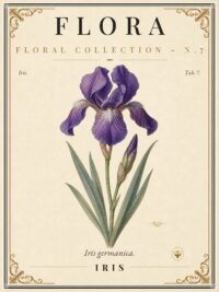 FLORA No. 7 - Iris Vintage Canvas