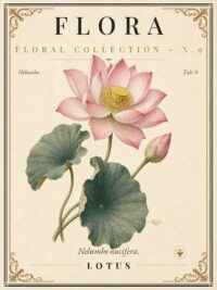 FLORA No. 9 - Lotus Vintage Canvas